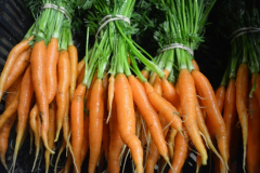 Craftsbury Farmstand