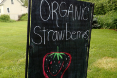 img_20170620_075106468_20180330_1353014990