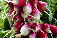 img_20170620_102845397_20180330_1506574558