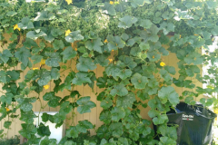 img_20170814_111851666_20180320_1714874282