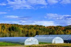 dsc_0316_20180320_1350730501