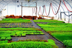 dsc_0454_20180320_1962466401