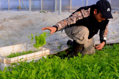 dsc_0472-001_20180320_1561827420