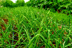 dsc_0564_20180330_1628432963