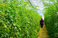 dsc_0792_2_20180330_1350806534