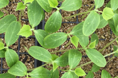 img_0370_20180412_1959954410