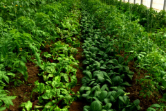 img_0921_20180412_1513472786