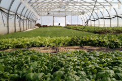 img_20170403_114018545_20180330_1522515632