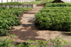 img_20170403_114447994_20180330_1504555075