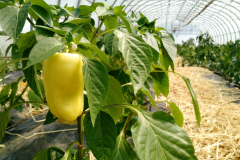 img_20170612_110225372_20180330_1500860997