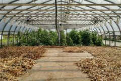 img_20170804_100500748_hdr_20180330_1463425560