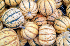 img_20171031_093659852_hdr_20180330_1889886701
